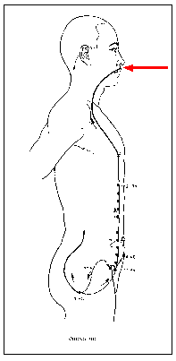 chong3.gif (3520 bytes)