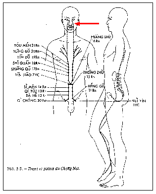 chong4.gif (5966 bytes)